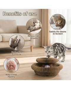 2-Pack Cat Toy Cat Scratching Board Collapsible Cat Toy Recyclable Cat Toy Interactive
