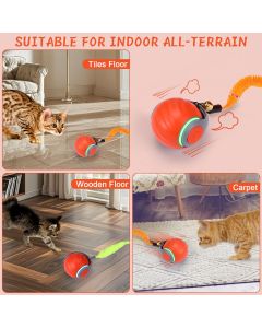 Interactive Cat Toy Cat Ball Toy Feather Worm Toy Cat Toy With Bells Australian