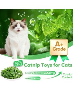 3 Cat Toys Australia Fish-Shaped Cat Toys Catnip Toys Cat Scratching Stick