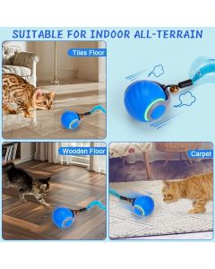 Interactive Cat Toy Cat Ball Toy Feather Worm Toy Cat Toy With Bells Australian