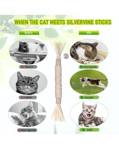 5 Cat Chew Sticks Cat Toys Cat Dental Care Natural Cat Toys Kitten Teething Toys