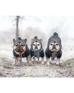 Dog Hat Knitted Windproof Winter Pom Hat, Black, S