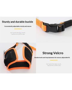 2 pack Dog Muzzle Anti Biting Barking and Chewing with Comfortable Mesh Soft Fabric and Adjustable Strap, Suitable for Small, Medium and Large Dogs(L)