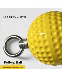 Pull Up Grips Ball Grip Strength Trainer, Climbing Grip Strength Training Pull Up Grips Handles, Cable Machine Attachments, Pull Down Attachment for Hand Wrist Finger（7cm）
