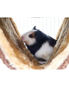 Fleece Winter Warm Rat Hammock, Double Layer Hanging Birds Nest Bed Tent with Warm Fleece, Bird Cage Stand Perch, Sleep Bed Cage Accessories for Rat, Guinea Pig, Chinchilla (Brown)