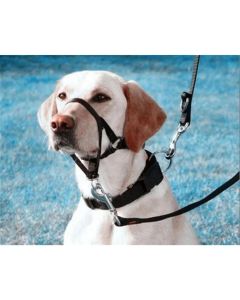 Pressure free dog training headband for traction, no traction hood, with adjustable seat belt for walking training, responsive large dog (M)Black