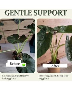 4 pcs Turtle Shell Bamboo Clamp Set - Reusable Clear Plastic Stem Support for Outdoor & Indoor Plants. Ideal for retaining Stems of Flowers, Herbs, and Vegetables