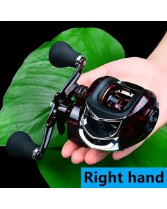 High Speed 18+1BB Baitcasting Reel, Dual Brake System, Max Drag 20lb - Ergonomic Handle, Stainless Steel Durable Spool - Ideal for Carp and Bass Fishing, Suitable for Saltwater and Freshwater, Angler's Choice | Smooth Black Finish(DW121L left hand)