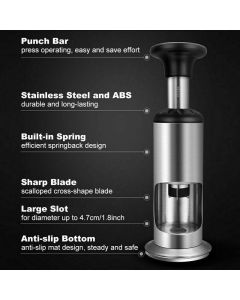 Barbecue Utensil Awl, Effort Sheller, Nutcracker Chestnut Opener Nut Peeler in Stainless Steel Saving Kitchen Tools for Householders