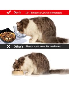 Double Cat Bowl, Cat Bowl, 15 Tilt Double Raised Cat Bowl, Double Bowl Pet Feeder with Raised Stand for Cats and Small Dogs