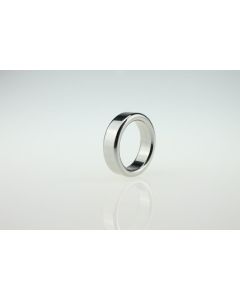 House Of Dasein Stainless Steel Cock Ring Delay Ejaculation For Men - 41Mm