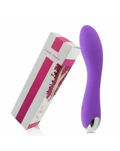 House Of Dasein G Spot Vibrator 20 Speeds Vibrations Clit Stimulator Orgasms Women - Purple - With Box