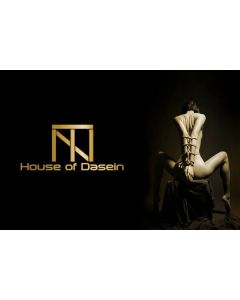 House Of Dasein Blue Red Corset Gold Lace Trim Sexy Lingerie Kink Bdsm Fetish Clothing - Red - Xxl