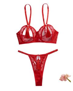 House Of Dasein Love Perspective Mesh Sexy Tassel Fun Hollow Underwear Two Piece Set For Women - Red - L