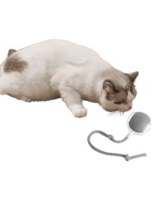 Interactive Cat Toy Ball Fast Rolling Motion Activate Cat Toys Gray