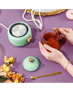 Portable Electric Kettle Stew Cup 450ML Health Cup Mini Slow Cooker Kettle Office Flower Teapot Split Tea Boiler AU Plug 220V Macaron 450ml