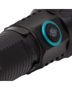365nm Black Light Flashlight Zoomable Type C Rechargeable Aluminium Alloy Shell Portable LED Torch for Pet Urine