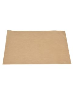 Baking Silicone Oil Paper Barbecue NonStick Baking Paper for Cooking Frying Grilling Rack(Natural Color 20x30cm )
