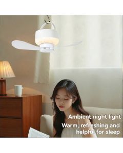 2-in-1 Camping Fan with LED Light Portable Rechargeable Battery Powered Fan with Remote for Tent, Travel, BBQ - White