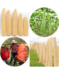 Natural Long Loofah Sponge for Kitchen Cleaning, Non-Stick Dish Scrubber, Eco-Friendly Plant Fiber Scouring Pad with Hanging Rope, Versatile for Pots, Pans, and Cookware (M, Shrink)