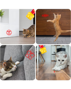 Purple Bear Laser Cat Toy Set - 2 Piece USB Rechargeable Multi Pattern Laser Pointer with UV and White Light for Cats