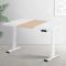 Artiss Standing Desk Motorised Dual Motor 120CM