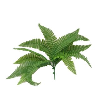 Fern Stem UV