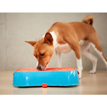 4-in-1 Slow Feeder Dog Bowl - Blue Bowl and Warm Ocean Red Lickmat