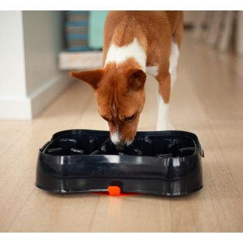 4-in-1 Slow Feeder Dog Bowl - Dark Grey Bowl with Blue Lickmat