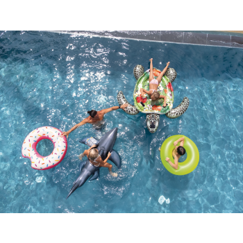 Intex Sea Turtle Realistic Giant Ride-On 57555