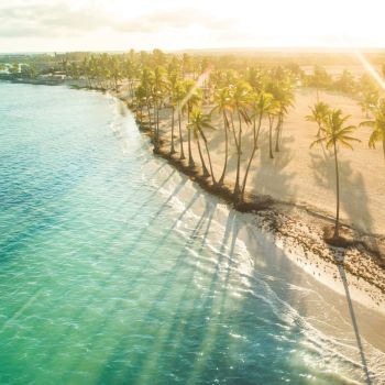 Island Paradise Odor Eliminating Melts 2.5oz