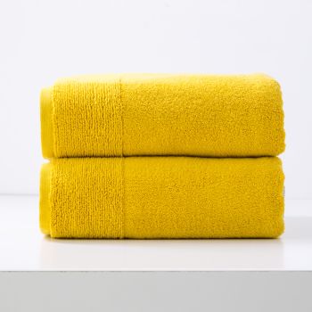 Aireys 650 GSM Zero Twist 2 Pack Bath Sheet by Renee Taylor