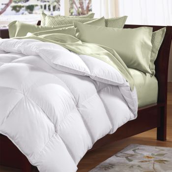 550 GSM Bed Australian Pure Merino Wool Quilt by Renee Taylor Single