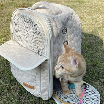 White cat backpack carrier, pet travel carrier, breathable cat backpack, stylish cat carrier, cat supplies Australia, durable cat carrier, padded cat backpack