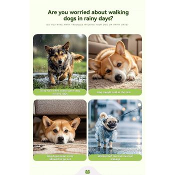 Dog Raincoat Shiba Inu Raincoat Corgi Raincoat Frog-Themed Dog Clothing - Green - Size XL-17-20kg