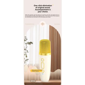 portable wireless karaoke speaker, Bluetooth 5.3 speaker, home KTV, wireless microphone, mini karaoke speaker, 10W speaker, Type-C charging, portable party speaker, Australia wireless speaker - White - Size Dual microphones