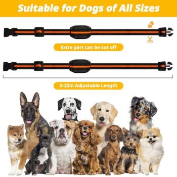 Black Dog Training Remote Control Collar