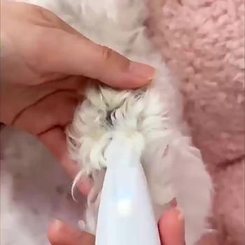 Pet grooming clippers with LED assisted lighting Safe low-noise USB/battery life Pet grooming electric clippers with LED assist lighting Safe low noise USB / battery life