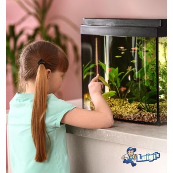 Fish Tank Cleaner - Turtle Tank Accessories - Gravel Vacuum for Aquarium - Hand Siphon Hose to Remove and Change Water or Sand in Minutes - Aquarium Cleaning Tools