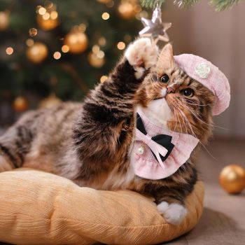 Cat Beret Cat Headscarf Pet Outfit Cat Accessories Halloween Pet Costume - Black