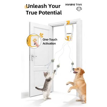 Interactive Cat Toy Electric Cat Teaser Remote Control Cat Toy Door Clip Cat
