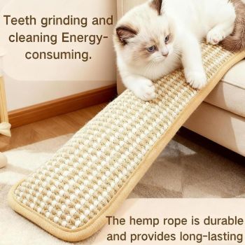 2PC Cat Toys Catnip Toys Interactive Cat Toys Catnip Kicker Soft Sisal Pillow Cat