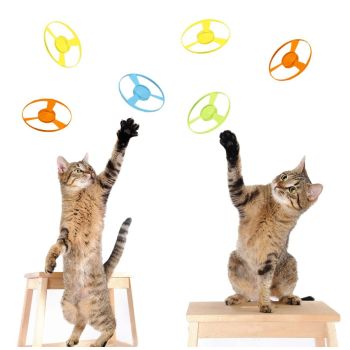 Cat Toy Cat Launcher Flying Disc Toy Cat Play Pet Toy Cat Entertainment