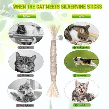 5 Cat Chew Sticks Cat Toys Cat Dental Care Natural Cat Toys Kitten Teething Toys