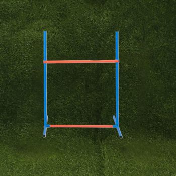Dog Agility Training Set for Pets