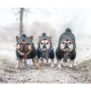 Dog Hat Knitted Windproof Winter Pom Hat, Black, S