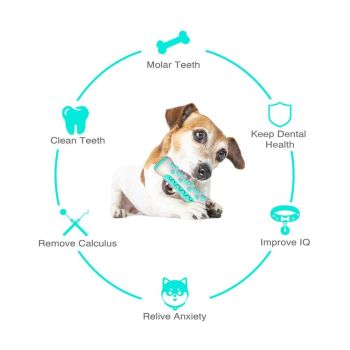Tough Dog Chew Toy for Aggressive Chewers, Rubber Squeaky Toothbrush Toy, Green