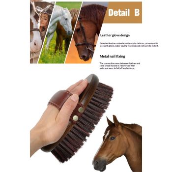 Class Handmade Equine Stiff Body Horse Brush. Professional Equine Grooming Tools. Effortlessly Removes Mud, Sweat and Dirt from Your Horses Hair.
