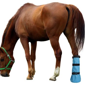 Easy Use Hoof Soaking Boot for Horse Soaker Bag Equine Soaking Boot Hooves Care Treatment Bucket Soaker Sack 3 Elastic Bands（32*4）