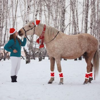 Christmas Red Horse Leg Protectors polar fleece Standing Wraps, Pack of 4,for Horses Leg Loose and Comfortable for Christmas Parades (Snowflake)